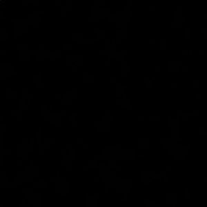 Meet your Posher, Semin